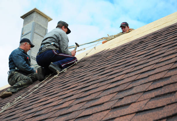 Best Local Roofing Companies  in Winter Beach, FL